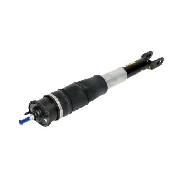 GM Genuine Parts Rear Shock Absorber with Upper Mount