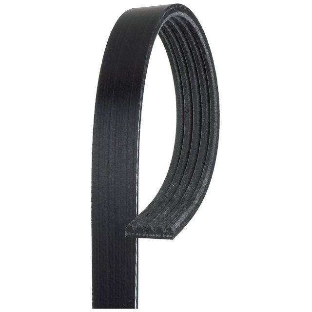 Amazon.com: GM Genuine Parts 12580773 Drive Belt Idler
