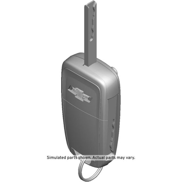 GM Genuine Parts Door Lock and Ignition Key (Programming