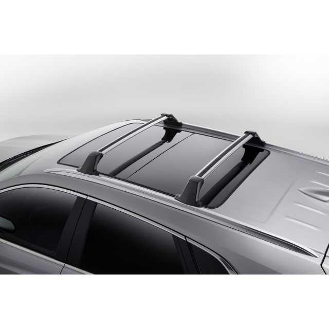 Cadillac roof store rack cross bars