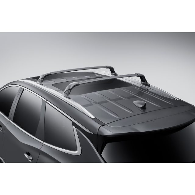 Black best sale roof racks