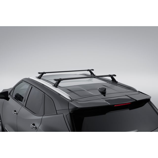 Chevrolet Roof Rack Cross Rails Package in Black, 84231368