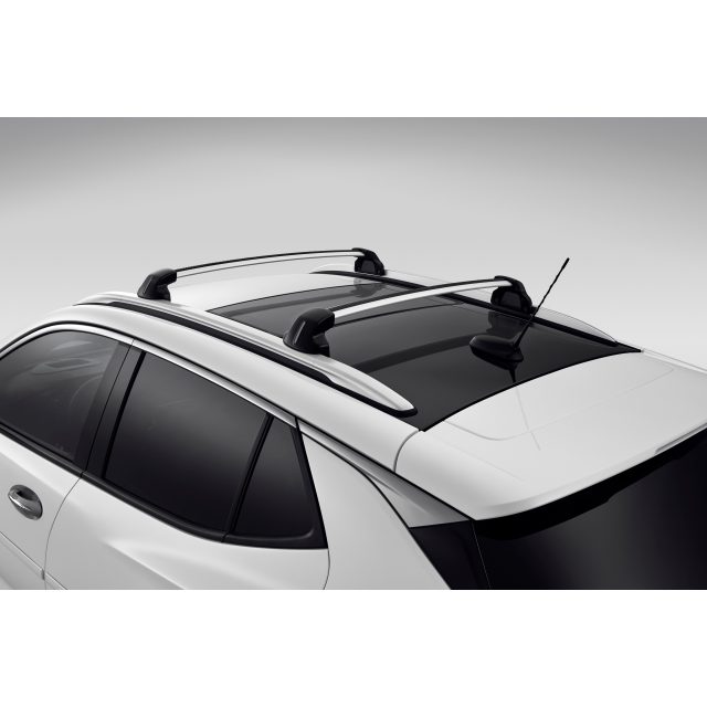 Car accessories best sale roof rail