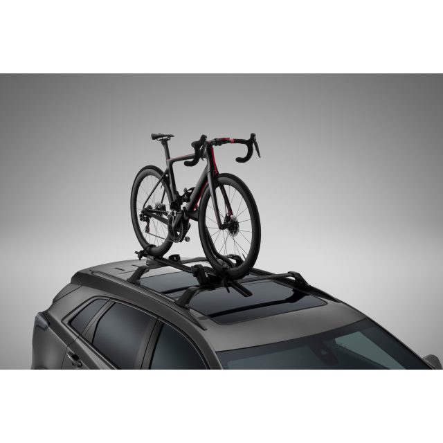 Qashqai bike roof store rack