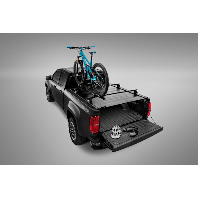 Thule upright bike carrier hot sale